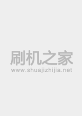 华为 G520(移动版)
